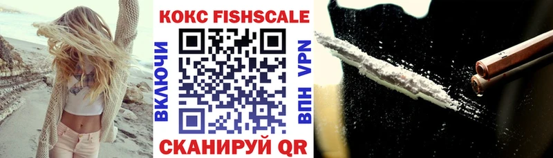 Cocaine FishScale Закаменск