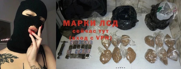 винт Алзамай