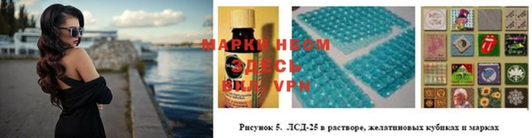 хмурый Алексин