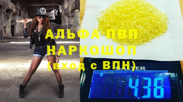хмурый Алексин