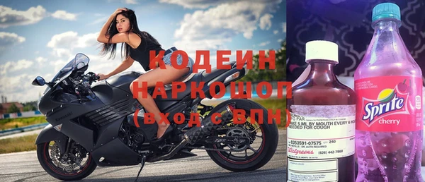 хмурый Алексин