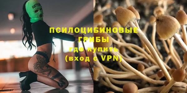 винт Алзамай